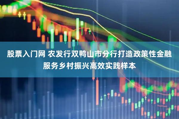 股票入门网 农发行双鸭山市分行打造政策性金融服务乡村振兴高效实践样本