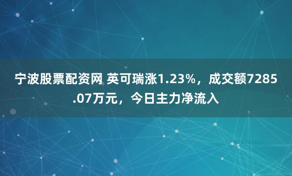 宁波股票配资网 英可瑞涨1.23%，成交额7285.07万元，今日主力净流入